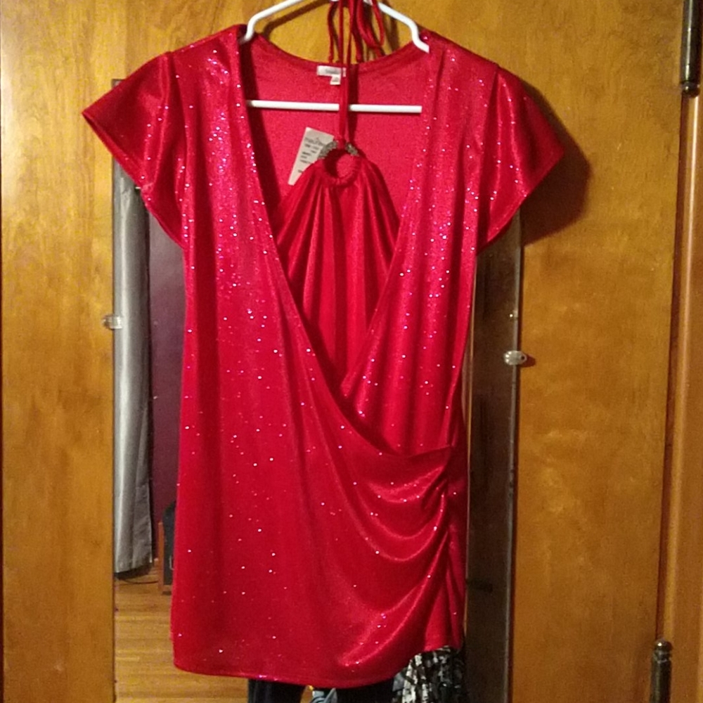 Studio Y sparkly fuschia top